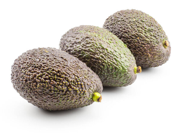 Three avocado in row isolated on white background ripe green brown alligator pea