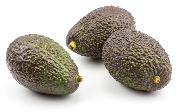 Tre Avocado Marrone Verde Isolato Sfondo Bianco Pera Alligatore Maturo — Foto Stock