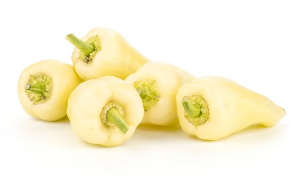 Bílá Paprika Maďarská Paprika Izolované Bílém Pozadí Zásobníku Fiv — Stock fotografie