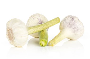 Üç genç yeşil saplı beyaz adam izole ampul sarımsak