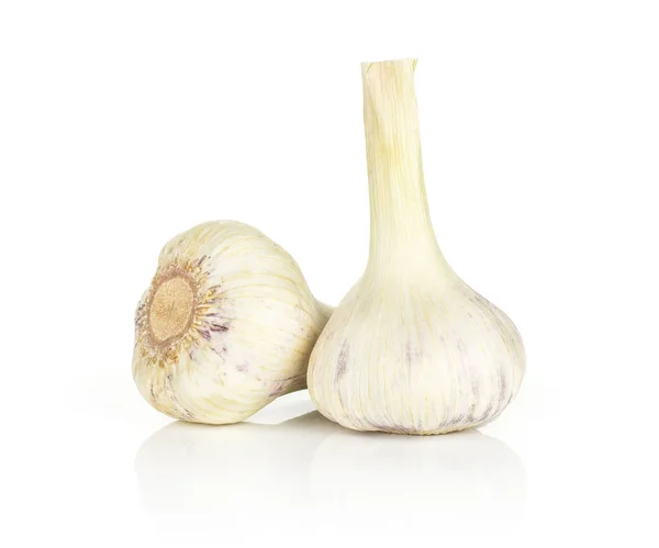 Young Garlic Green Stems Isolated White Background Two Bulb — Stock Photo, Image