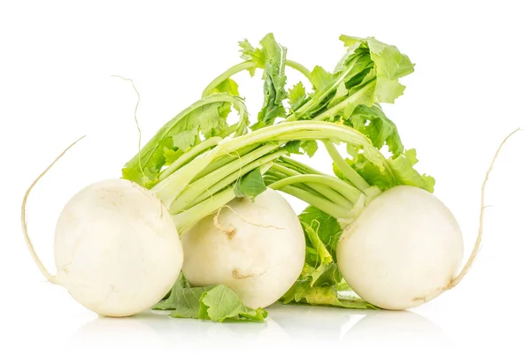 Three White Radish Bulbs Set Fresh Leaves Isolated White Backgroun — Stock Photo, Image