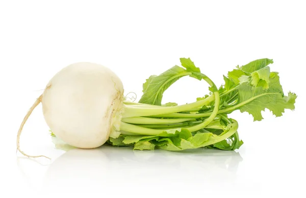 One White Radish Bulb Leaves Isolated White Backgroun — Stock Photo, Image