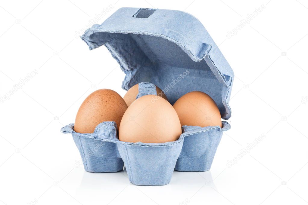 Brown chicken eggs in a blue carton box isolated on white background set of fou