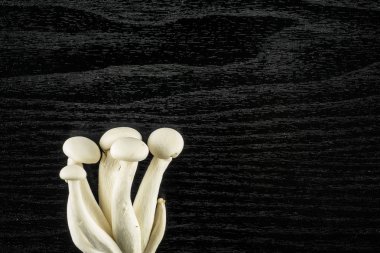 Üstten Görünüm Shimeji siyah ahşap arka plan üzerinde ham fres izole beyaz kayın mantarı