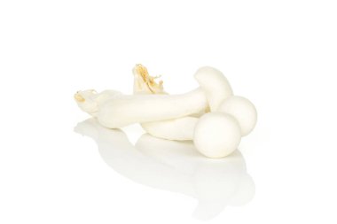 Beyaz adam izole üç ham Shimeji beyaz kayın mantarı