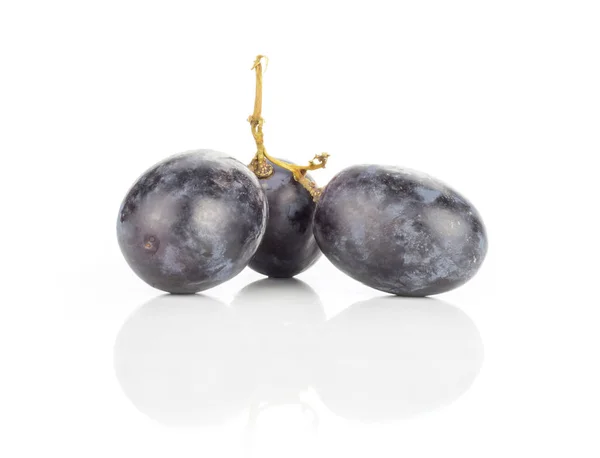 黑葡萄三浆果 秋天皇家品种 被隔绝在白色背景 — 图库照片