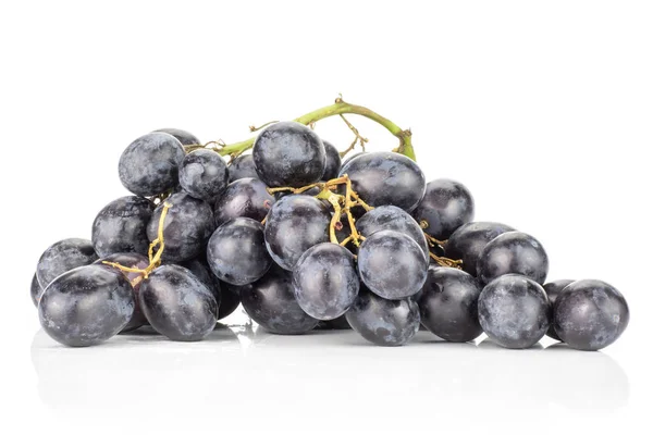 Schwarz Violette Traube Königliche Sorte Herbst Isoliert Auf Weißem Hintergrund — Stockfoto