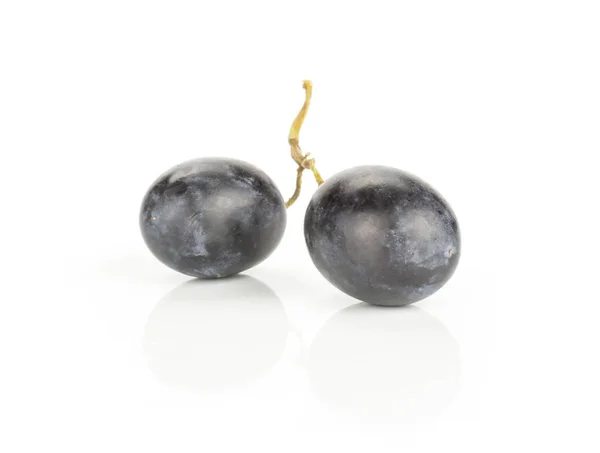 两个黑色葡萄浆果 秋季皇家品种 在白色背景分离 — 图库照片