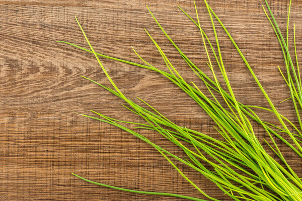 Fresh chives top view isolated on brown wood background grass-like leaves fines herbe