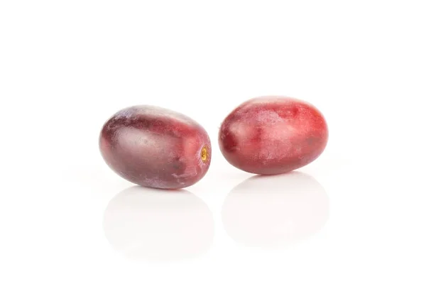 Red globe grape two berries isolated on white backgroun