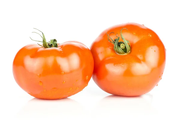 Deux Tomates Rouges Aux Extrémités Vigne Isolées Sur Fond Blanc — Photo