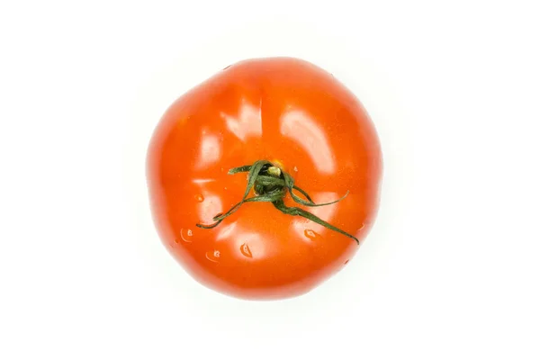 一个红色的西红柿与藤尾顶部视图隔离白色背景新鲜 Whol — 图库照片