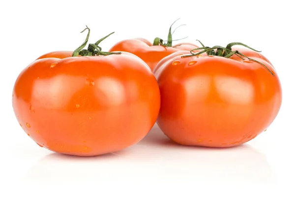 Drei Rote Tomaten Mit Weinenden Isoliert Auf Weißem Hintergrund Frisch — Stockfoto