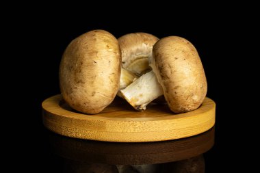 Siyah camda izole edilmiş taze kahverengi mantar.