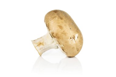 Beyaz üzerinde taze kahverengi mantar.