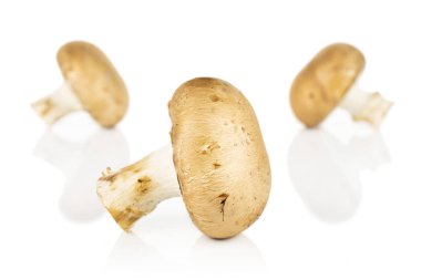 Beyaz üzerinde taze kahverengi mantar.