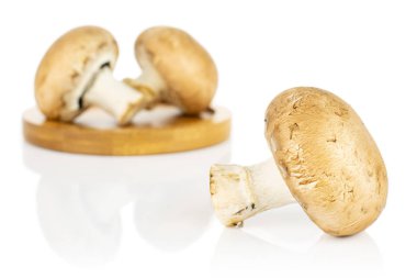 Beyaz üzerinde taze kahverengi mantar.