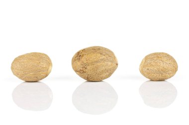 Kuru kahverengi hindistan cevizi beyazda izole edilmiş.