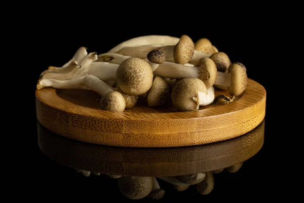 Buna shimeji mushroom isolated on black glass — Stock Photo, Image