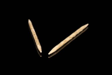 Tahta kahverengi kürdan siyah camda izole edilmiş.