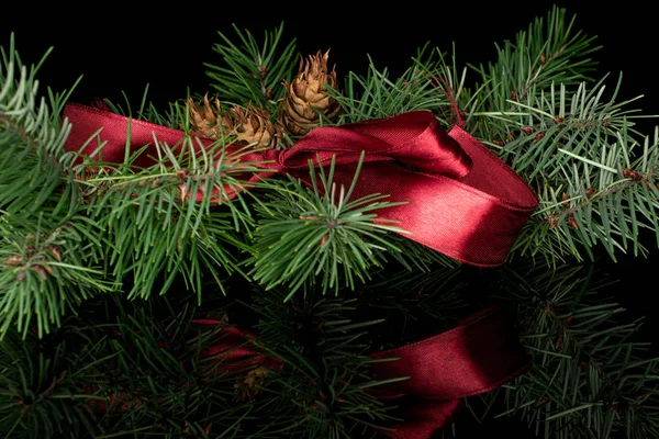 Rama de árbol de Navidad aislada en vidrio negro —  Fotos de Stock