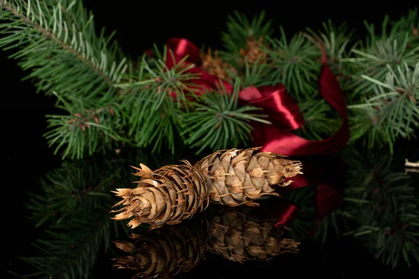 Rama de árbol de Navidad aislada en vidrio negro —  Fotos de Stock