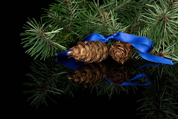 Rama de árbol de Navidad aislada en vidrio negro —  Fotos de Stock