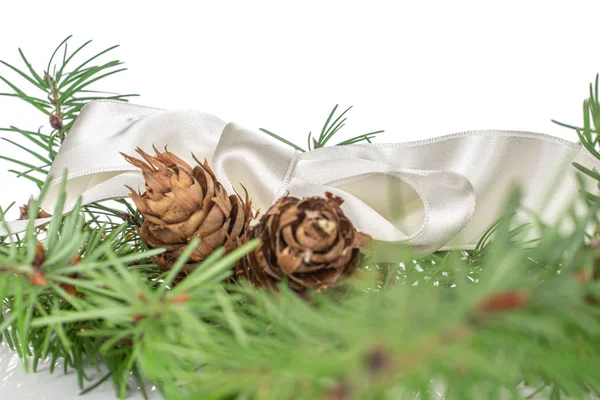 Rama de árbol de Navidad aislada en blanco —  Fotos de Stock