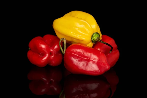 Hot chili habanero isolated on black glass — Stock Photo, Image
