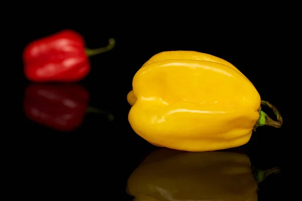 Chili habanero caldo isolato su vetro nero — Foto Stock