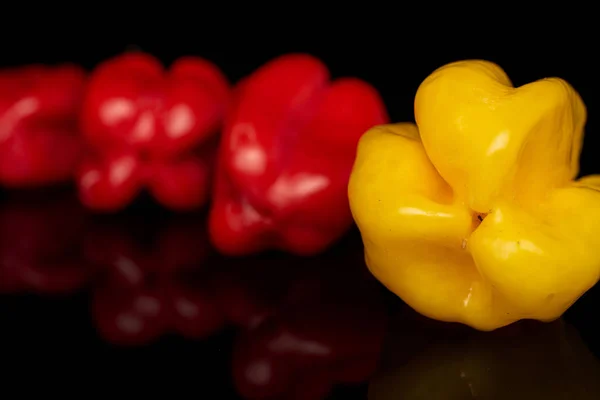 Hot chili habanero isolerad på svart glas — Stockfoto