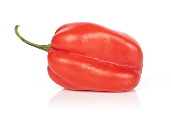 Gorące chili habanero izolowane na białym — Zdjęcie stockowe
