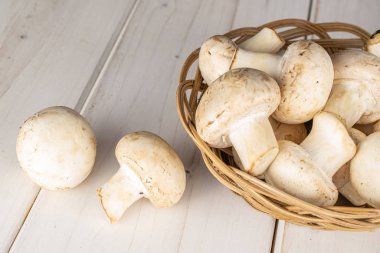 Gri tahtada taze beyaz mantar