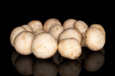 Siyah camda izole edilmiş taze beyaz mantar.