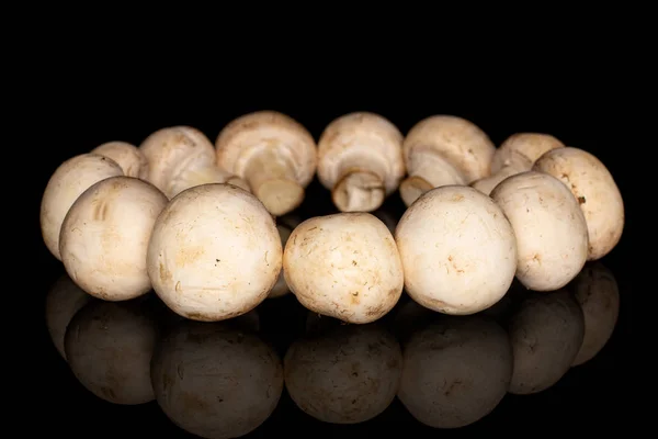 Frischer weißer Pilz isoliert auf schwarzem Glas — Stockfoto