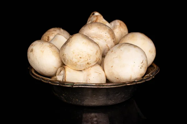 Fungo bianco fresco isolato su vetro nero — Foto Stock