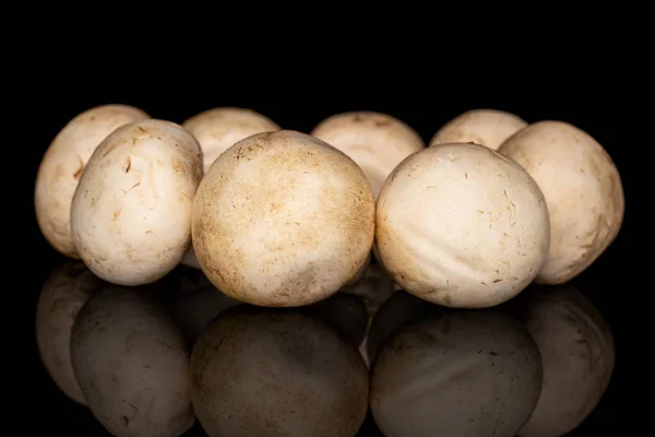 검은 유리 위에 격리되어 있는 신선 한 흰 버섯 — 스톡 사진