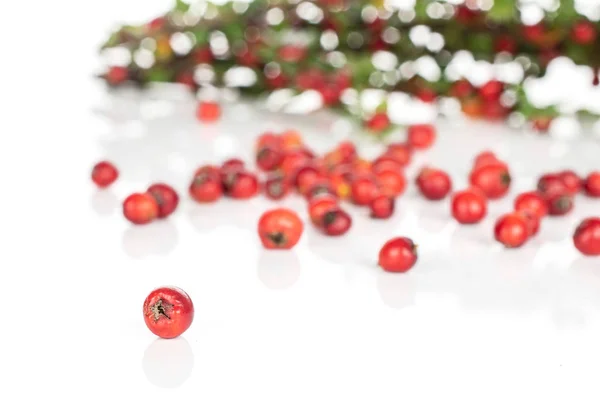 Rowanberry vermelho selvagem isolado em branco — Fotografia de Stock