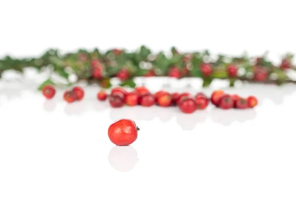 Rowanberry vermelho selvagem isolado em branco — Fotografia de Stock