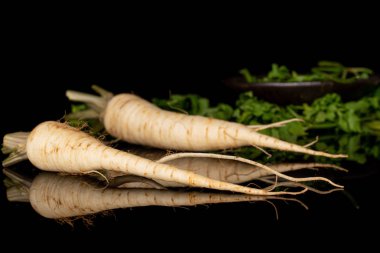 Siyah camla izole edilmiş beyaz maydanoz kökü