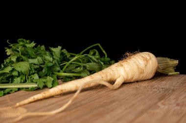 Siyah camla izole edilmiş beyaz maydanoz kökü