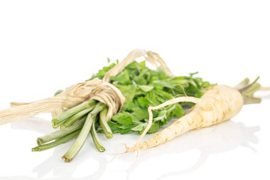 Beyaz maydanoz kökü yalıtılmış