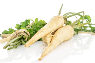 Beyaz maydanoz kökü yalıtılmış