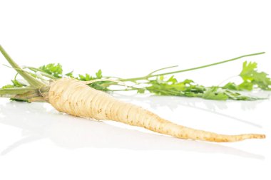 Beyaz maydanoz kökü yalıtılmış