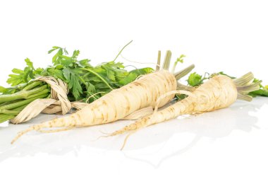 Beyaz maydanoz kökü yalıtılmış