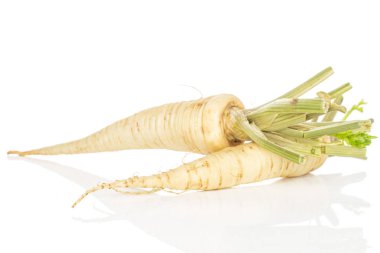 Beyaz maydanoz kökü yalıtılmış