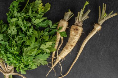 Gri taşın üzerinde beyaz maydanoz kökü