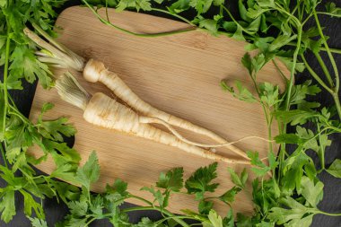 Gri taşın üzerinde beyaz maydanoz kökü