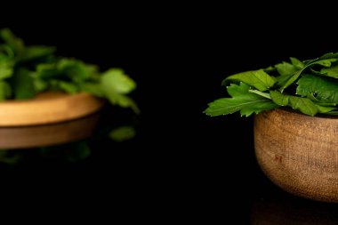 Düz yapraklı maydanoz. Siyah camda izole edilmiş.